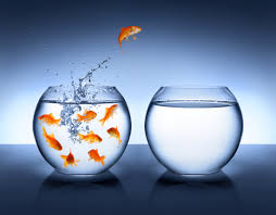 Learning To Trust The Unknown