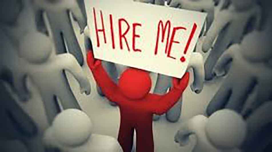 Pointers For An Effective Job Search