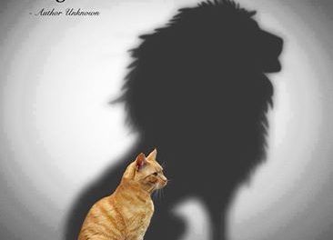 Positive Attitude: A Successful Formula