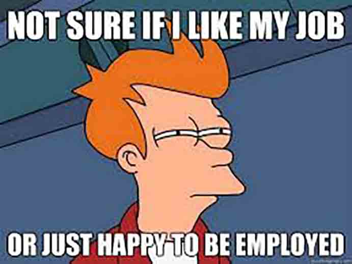 Finding Job Satisfaction