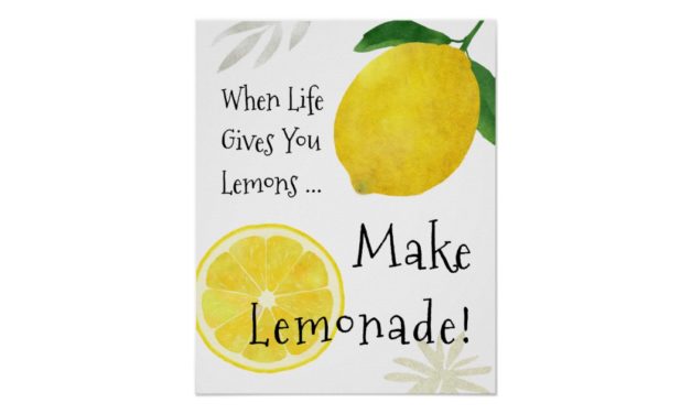 When Life Gives You Lemons, Learn How To Make Lemonade